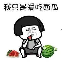 娱乐吃瓜酱热点,明星秘闻大揭秘，热点事件追踪