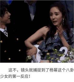 明星八卦娱乐吃瓜视频大全,明星八卦娱乐吃瓜视频大汇总