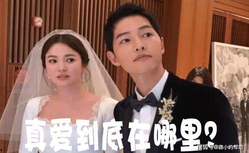 娱乐圈各种吃瓜事件小说