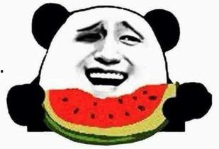 娱乐吃瓜酱东北老铁,东北老铁的娱乐吃瓜日常